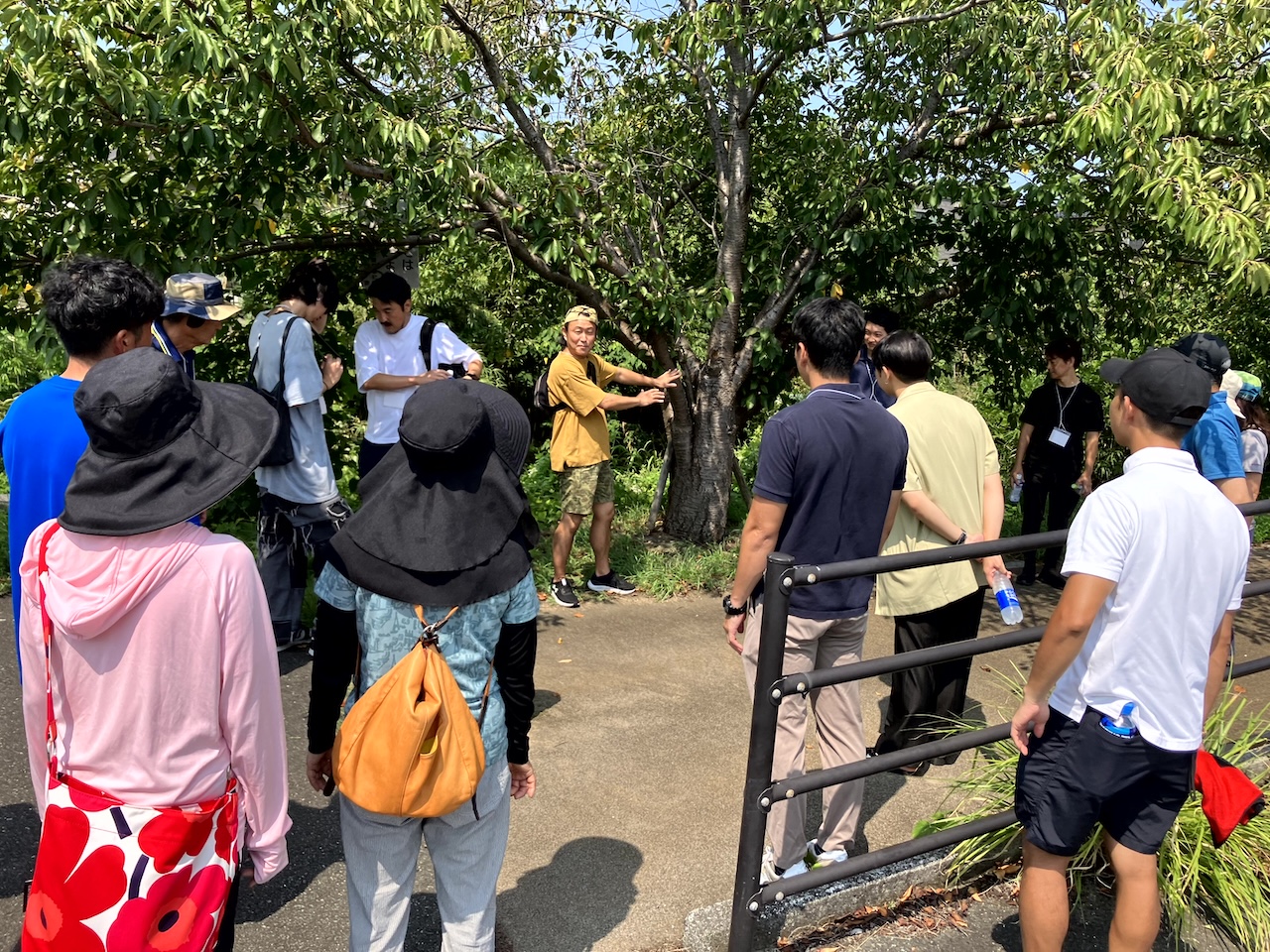 宗像市で開催されたワンデイトライ樹木医体験の様子。参加者が自然環境の中で樹木医から専門的な解説を受けているフィールドワーク風景