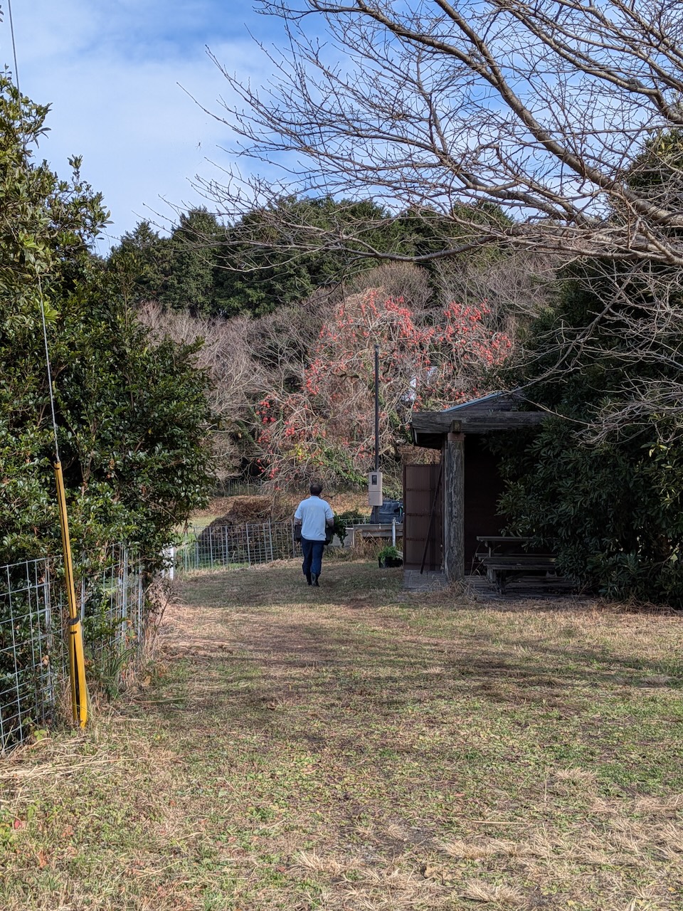 正助ふるさと村で収穫した大根を運搬する作業風景と里山の景色