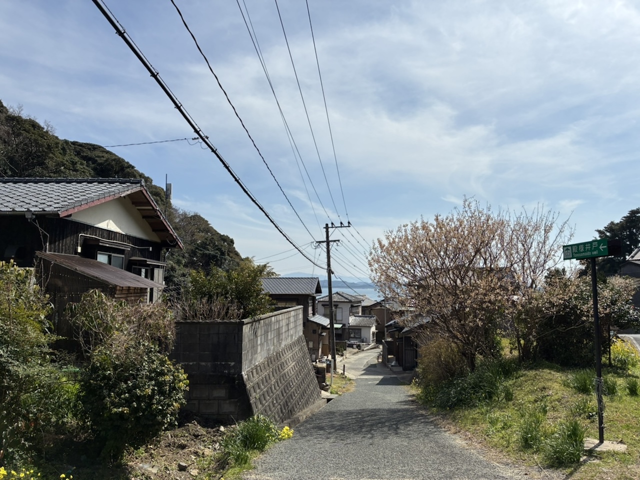 地島の泊地区から港へ向かってまっすぐ伸びる生活道路の風景
