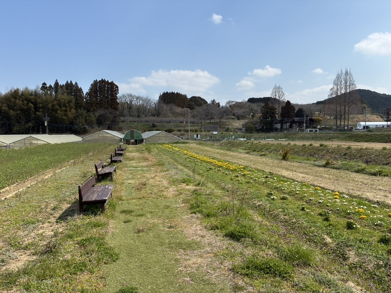 正助ふるさと村の農地沿いに並ぶベンチと、春の花が見える穏やかな風景