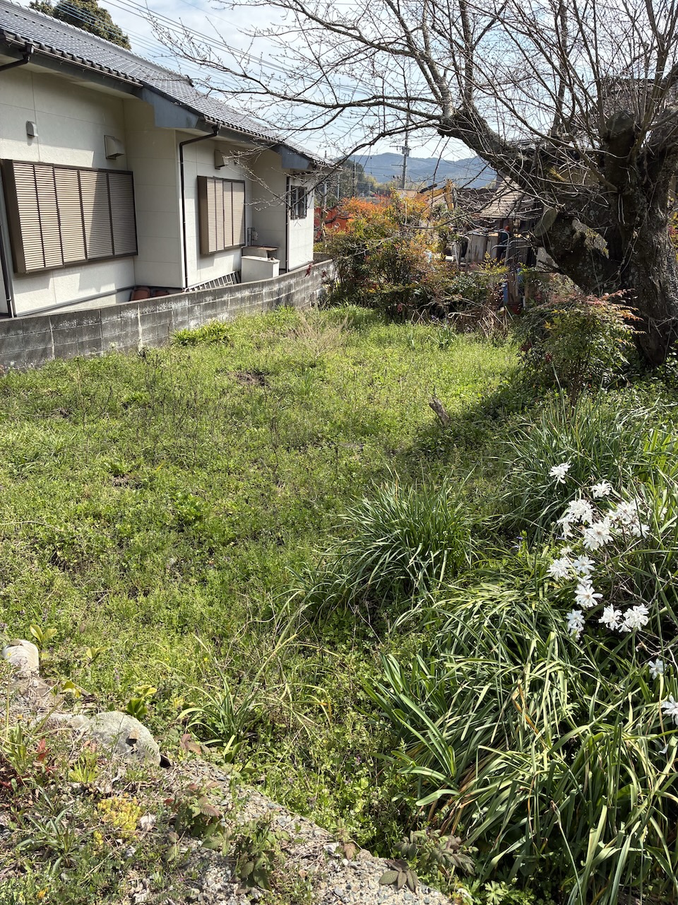 Natural surroundings and countryside scenery around Yoshidome, Munakata City