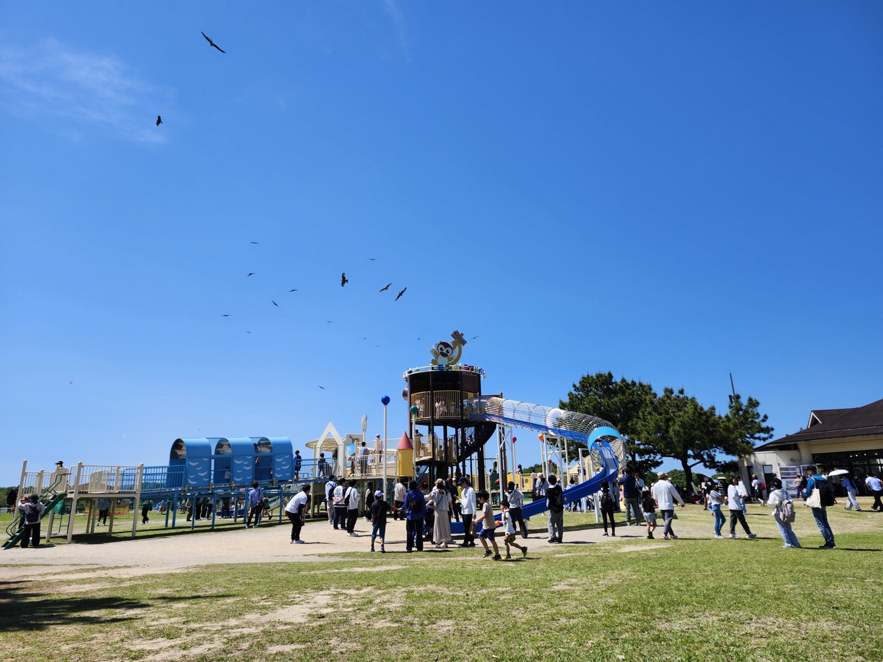 青空の下、大型遊具で遊ぶ家族連れで賑わう海の中道海浜公園