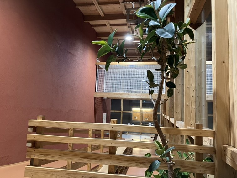 木製の柵と観葉植物があるMu-Mo館内の吹き抜け空間
