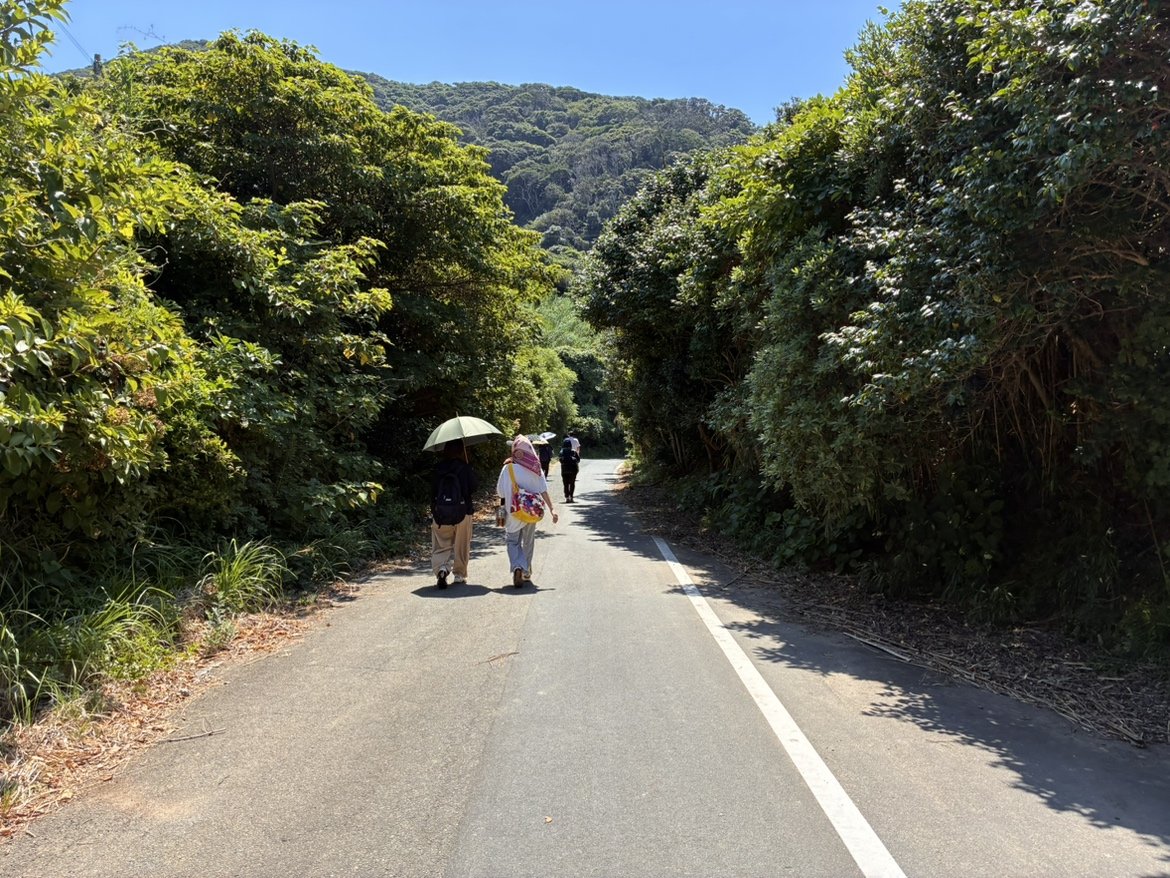 緑に囲まれた地島の道を日傘をさしながら歩くスタッフたち