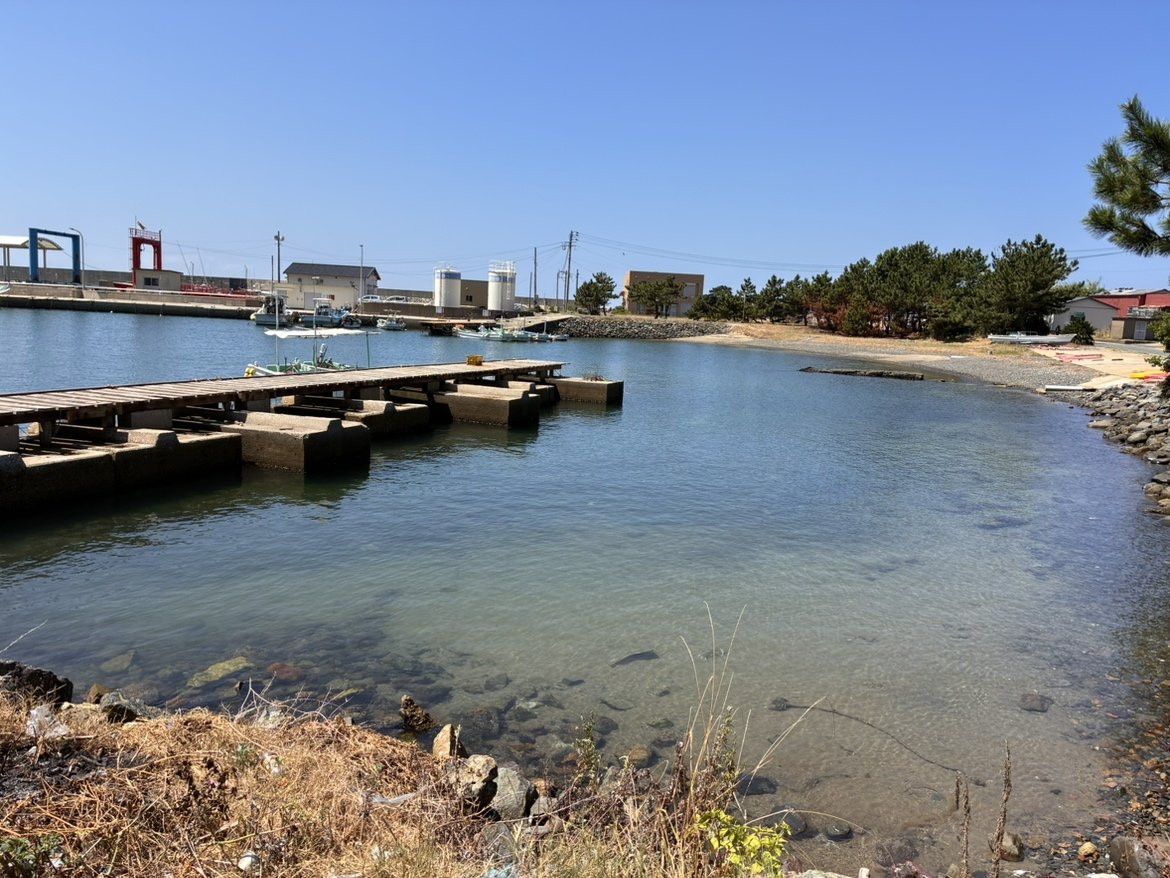 透明度の高い海水と木製の桟橋が見える地島の漁港風景